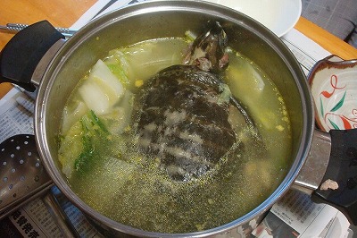 ããã£ã½ããã®ç»åæ¤ç´¢çµæ