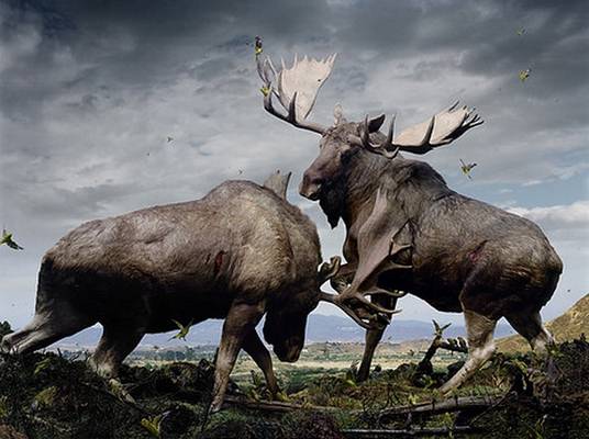 f:id:nburin0529:20170124015017j:plain f:id:nburin0529:20170124015017j:plain