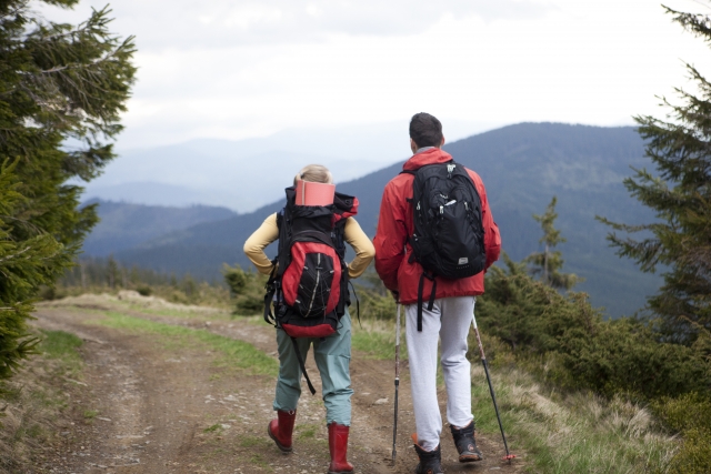 ãå±±ç»ããè¶£å³ãã®ç»åæ¤ç´¢çµæ